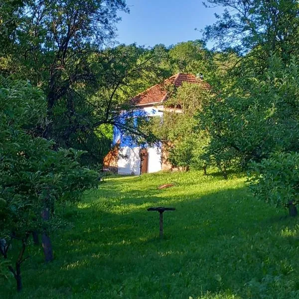 Casa La Casiru 17 nature, khách sạn ở Straja