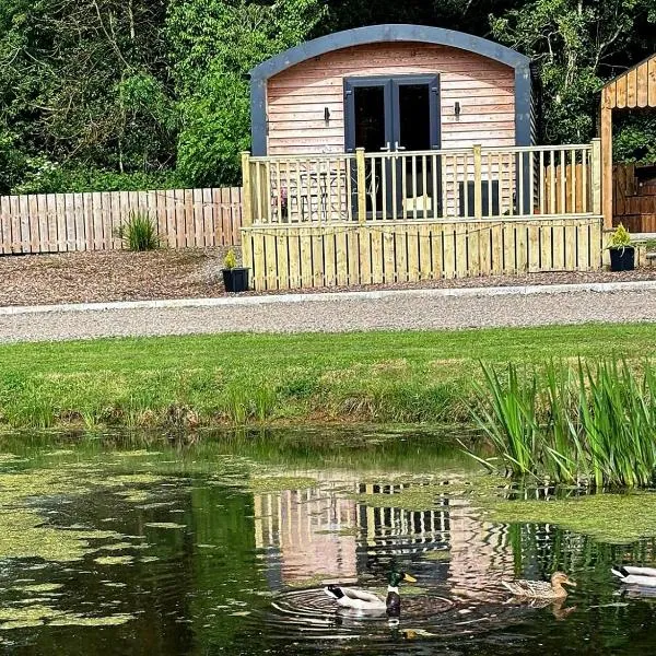'Cosy Gem' Cabin Woodland Retreat Randalstown NI, hotel a Whitesides Corner