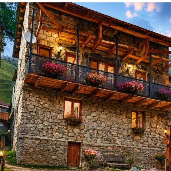 Stone House marexi, hotel in Adishi