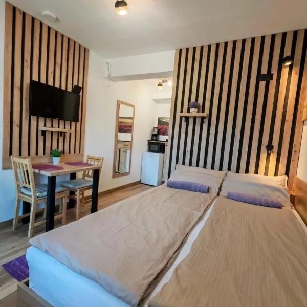 Somni Apartamente, hotel en Chinteni