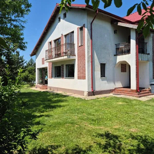 Paradisul de la țara, hotel v mestu Moara Vlăsiei