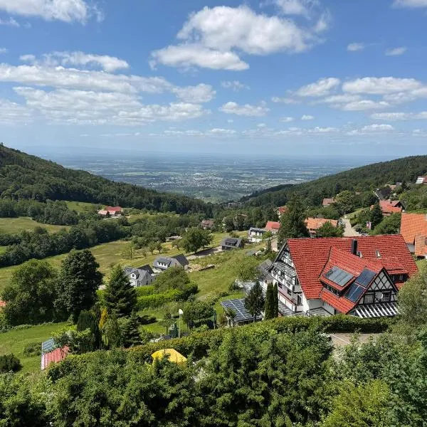 Berghof Grüner Baum, hotell i Sasbachwalden