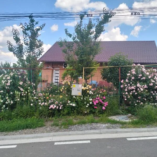 Garsoniera 20m2 anexată la casa proprietarului, Hotel in Botoşani