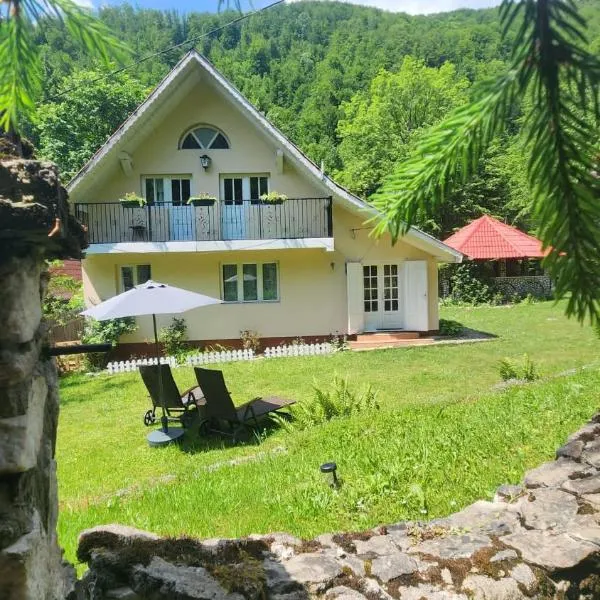 Casa de vacanta Julius, хотел в Падис