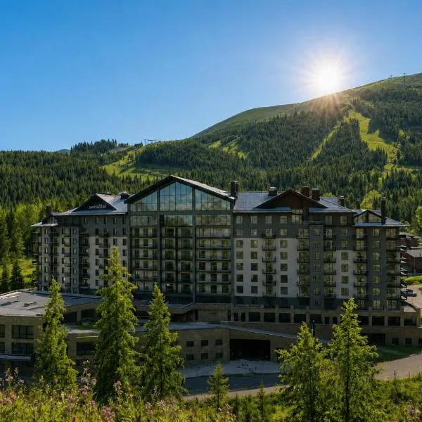 Swissôtel Damian Jasna, отель в Демяновской долине