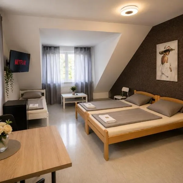 Moderne Appartement，紐倫堡的飯店