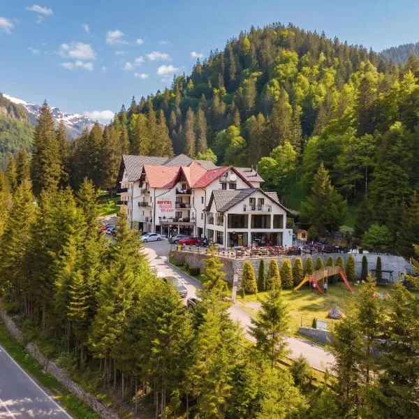 Piscul Negru Hotel - Transfagarasan, hotel in Cumpăna