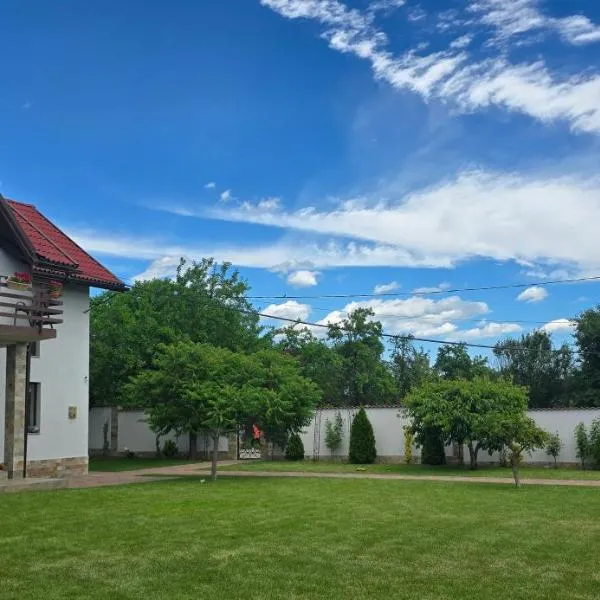 Pensiunea Casa Mădă, hotel in Baia de Fier