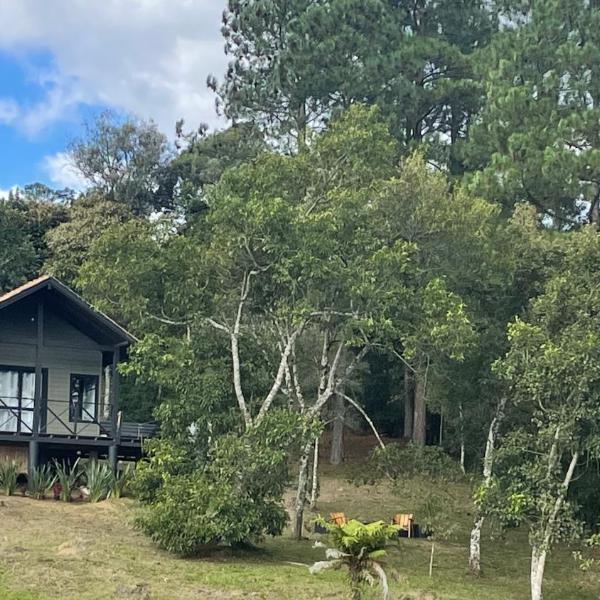 NOVIDADE - Cabana Refúgio Gaia - Foto 5