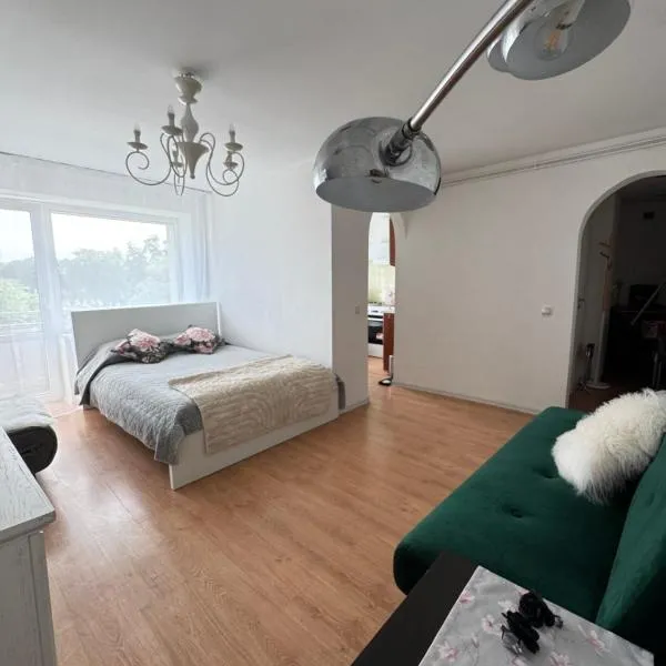 Liepaja Old Town Holiday Apartments, מלון בלייפאיה