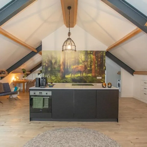 Boerderij appartement De Casterie, Hotel in Bornerbroek