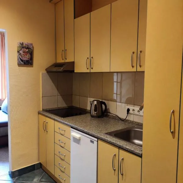 Forest Soul Apartment, hotel u gradu 'Juodkrantė'