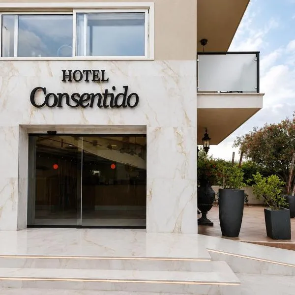 Hotel Consentido, hotel v destinaci Granollers