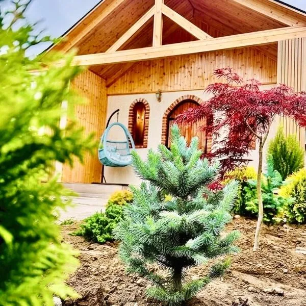 Chalet Harmony, hotel a Bagdatʼi