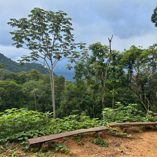 Itacurumi Lodge - Nature & Hiking Experience - Foto 5