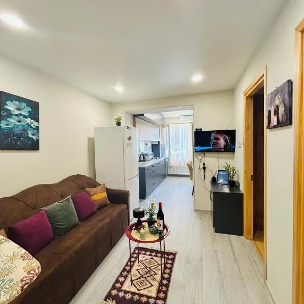 Kitesa's apartment with two bedrooms، فندق في متسختا