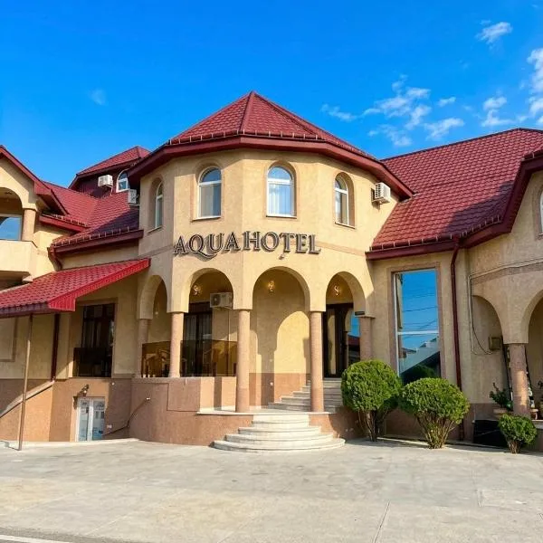 Aqua Hotel, hotel di Solotvyno
