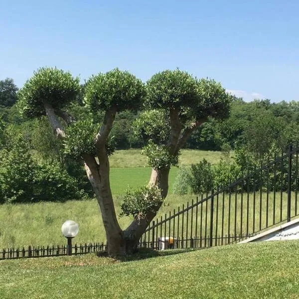 Villa Elisa Relax, hotel in Pozzolengo