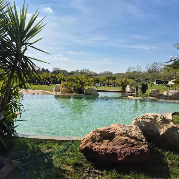 Le Mas des Cerisiers JACUZZI et SAUNA inclus pour tous les logements, Hotel in Avignon