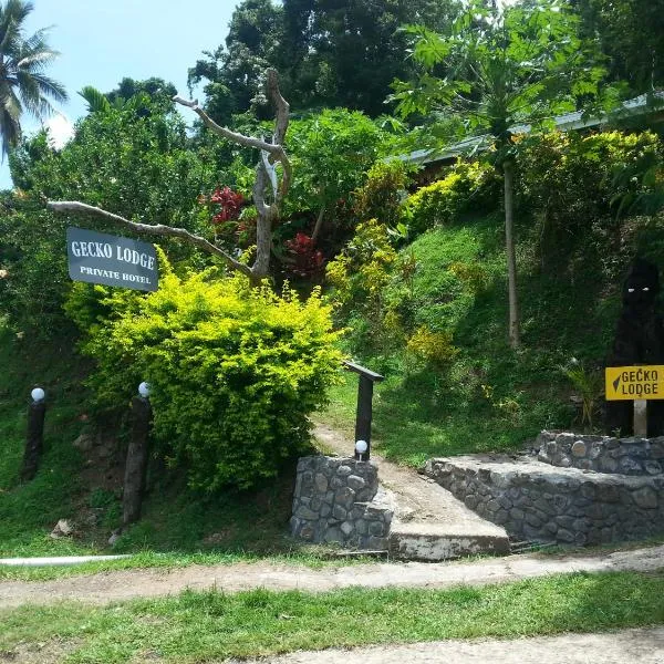 Gecko Lodge Fiji, hotell sihtkohas Savusavu