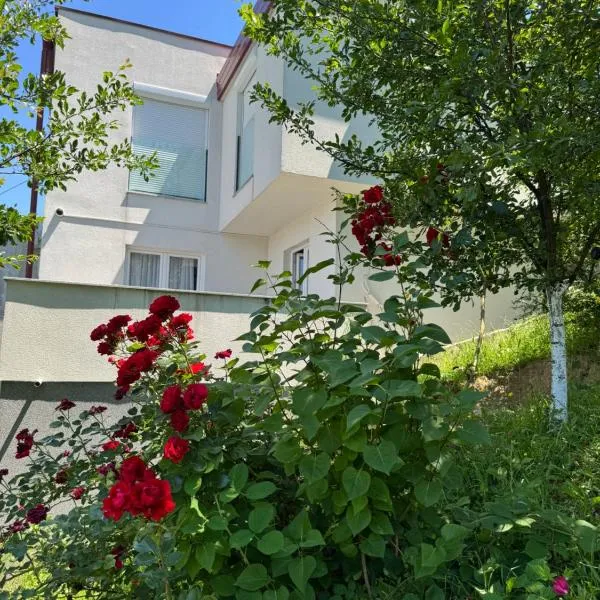 Villa Sunny Alley - Sunčani Sokak, hotel a Sarajevo