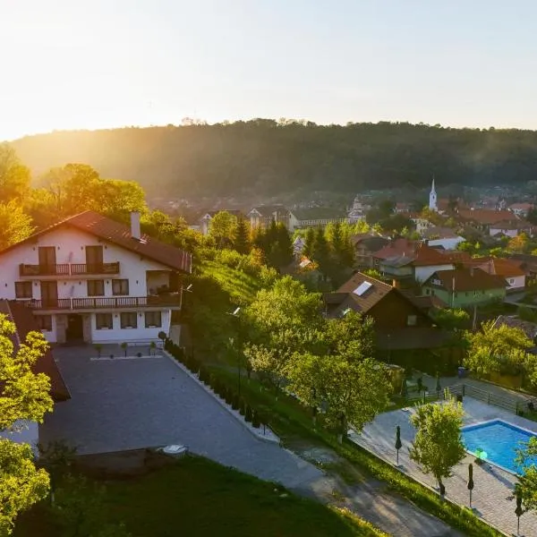 Pensiunea Patakparti 4, hotel v mestu Praid