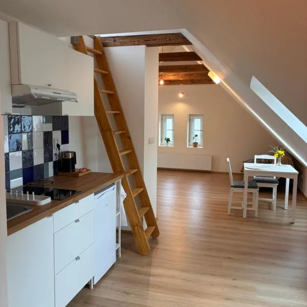 Apartments Airport Prague - Apartmány v domě se zahradou, готель у місті Гостивіце