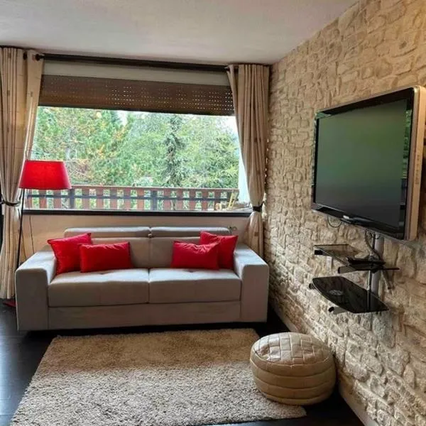 Appartement Lumineux & Cosy avec parking et belle vue – hotel w mieście Orcières