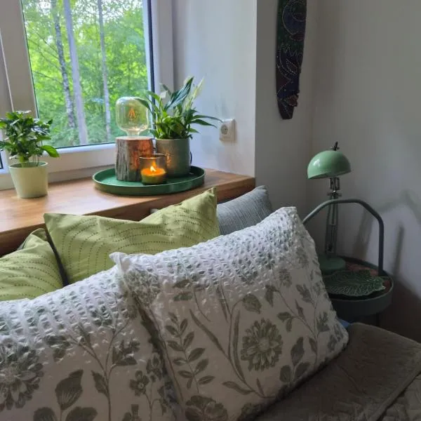 Cosy Lake Studio l Self Check-in & Free Parking, hotel u gradu Riga