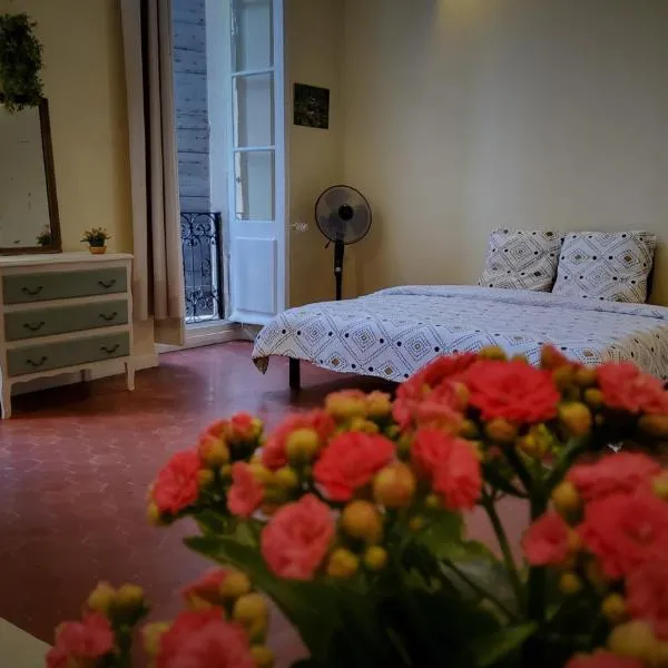 Grand Studio proche Avignon, Hotel in Roquemaure