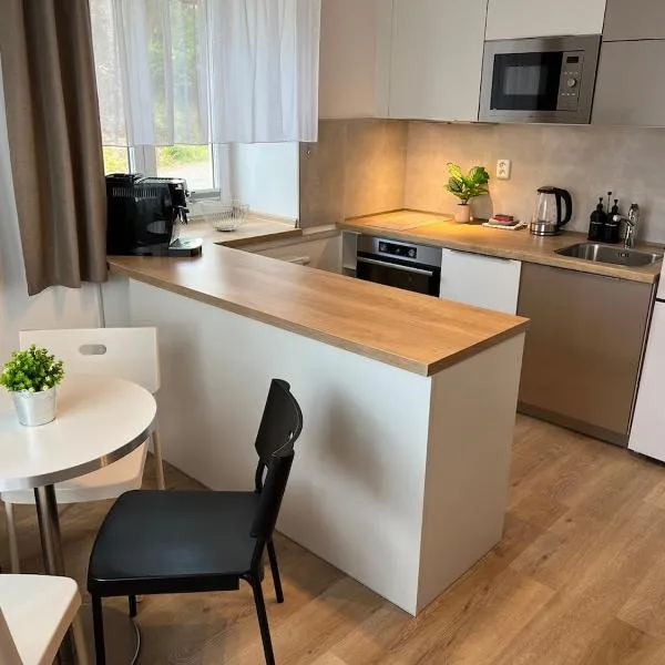 Apartmán Dolánky, Hotel in Bukovina
