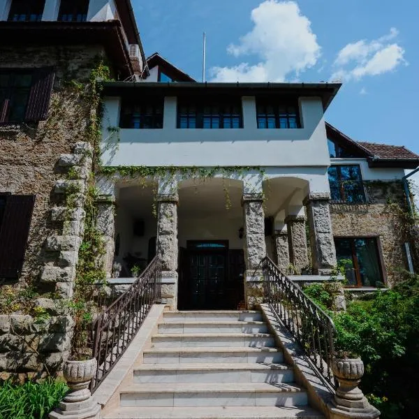 Villa Castelul Maria, hotel u gradu Banpotoc