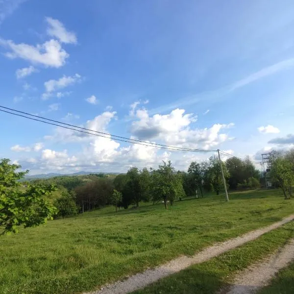 Dragačevska kuća na bregu- Heritage House: Viča şehrinde bir otel