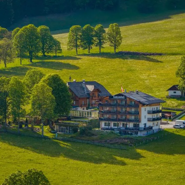 Hotel Ramsauhof B&B Pool & Wellness, Hotel in Ramsau am Dachstein
