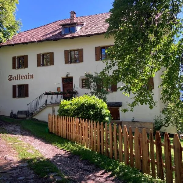 Sallrain Hof Apartment 1, Hotel in Klobenstein