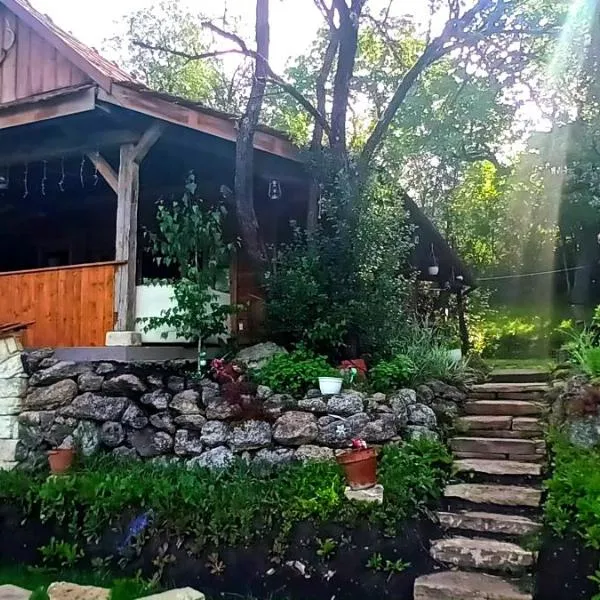 Hidden Garden Kide (Chidea), hôtel à Cluj-Napoca