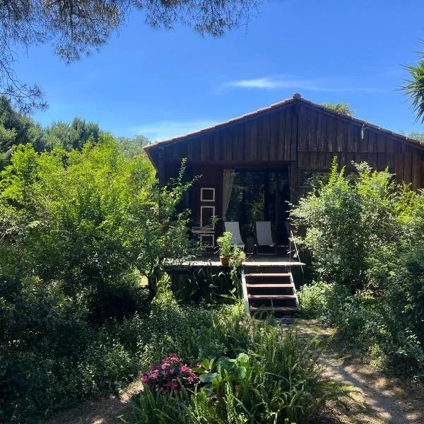 Pine Lodge - direct train to Porto, hotel di Valongo