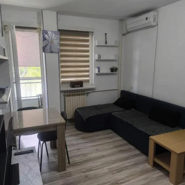 Apartman Točaković, hotel in Kladovo