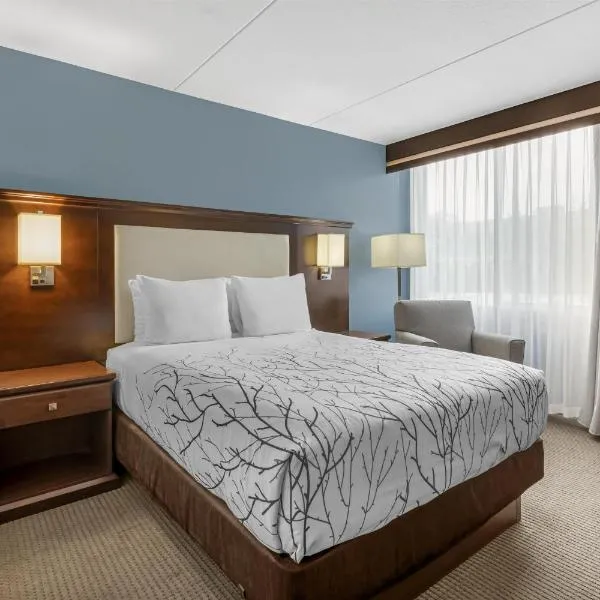 Best Western Plus Coeur d'Alene Inn, hotell sihtkohas Coeur d'Alene