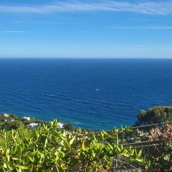 Costa Plana apartment with terrace and sea view, hotel di Cap d'Ail