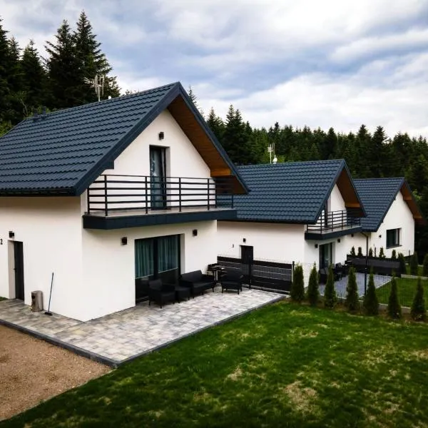 Domki Leśne Zacisze, hotel u gradu 'Baczyn'