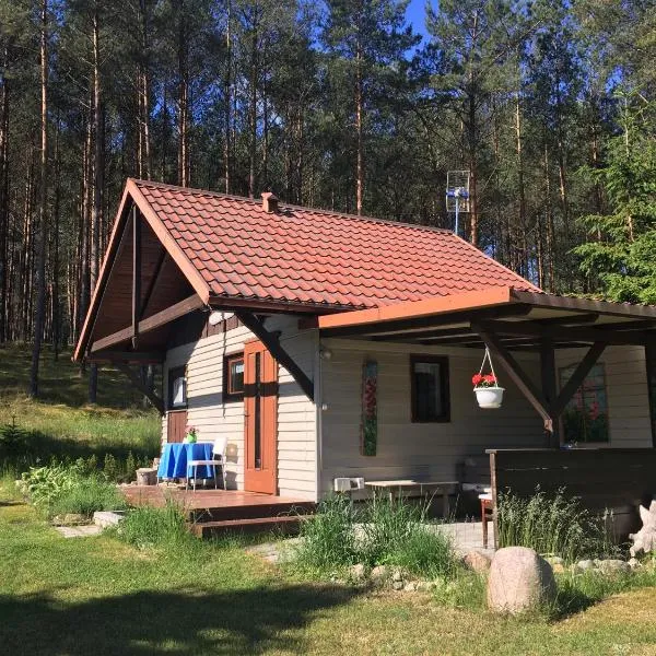 Leśne Chatki Kaszuby, viešbutis mieste Dziemiany