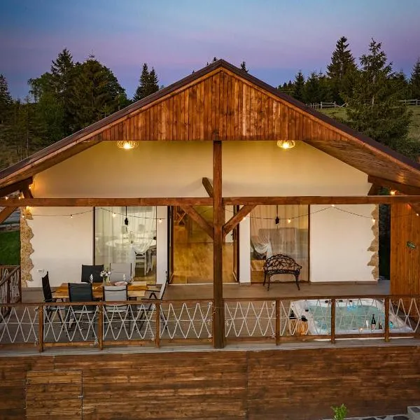 Cozy Living, hotel v destinaci Dealu Negru