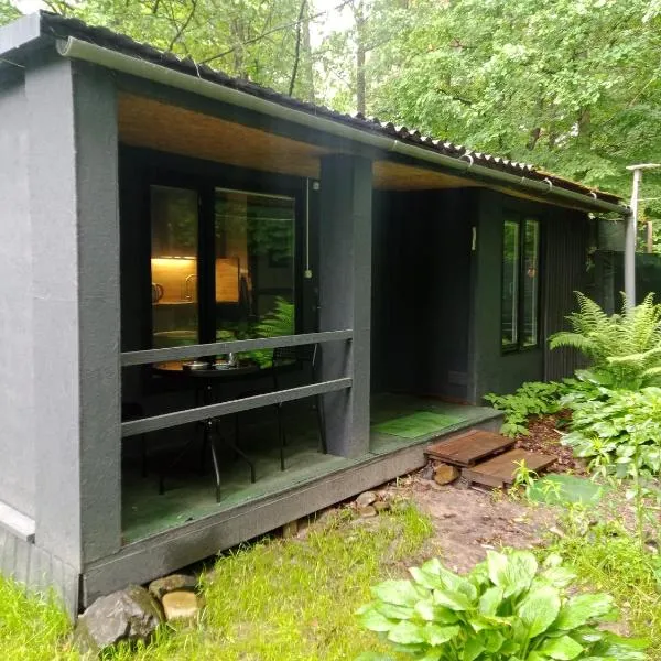 Scandinavia bungalow, hotel i Kamennaya Gora