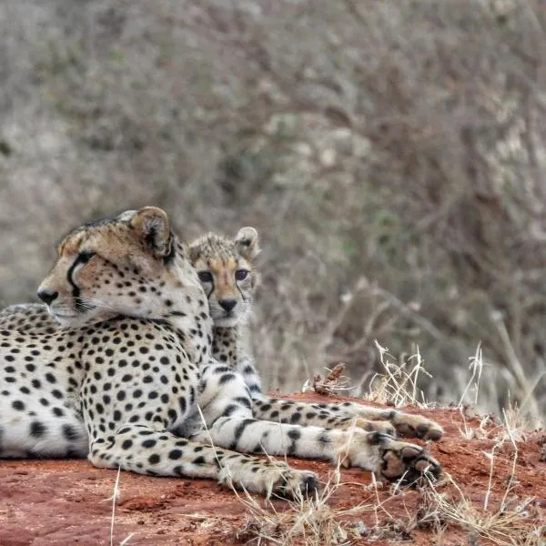 Tausa Tsavo Eco Lodge – hotel w mieście Voi