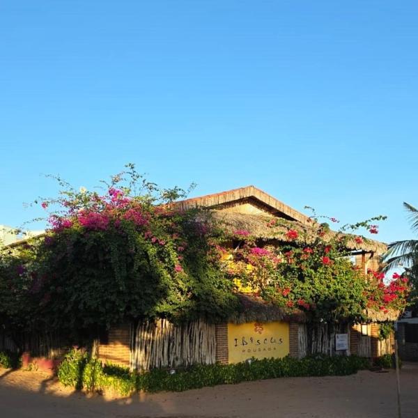Ibiscus Pousada sem café