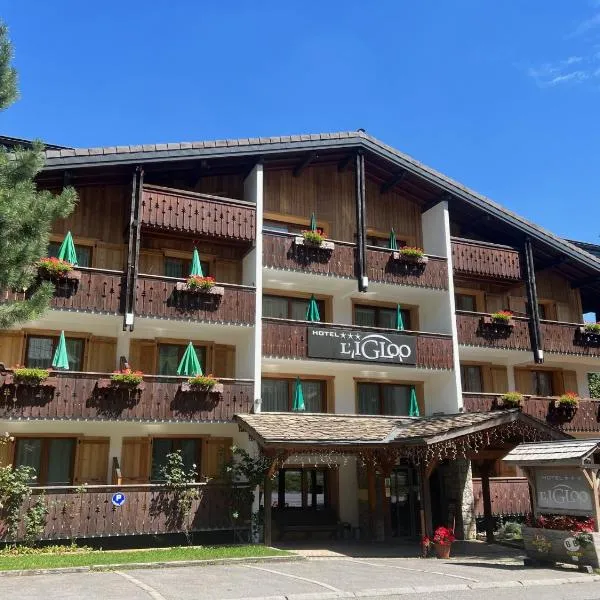Hôtel Igloo, ξενοδοχείο σε Morzine