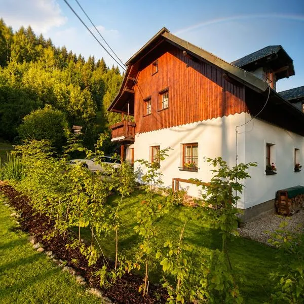 Penzion Eliška, hotel in Petříkov