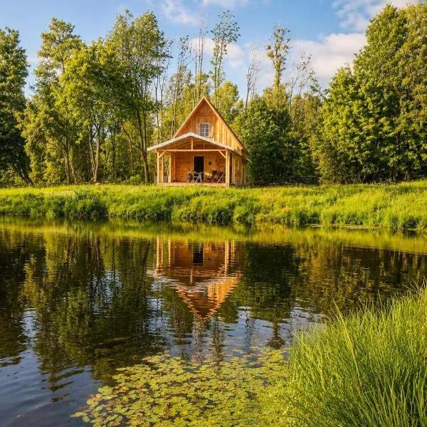Lake Cabin Rosia Montana, hotel din Tarina