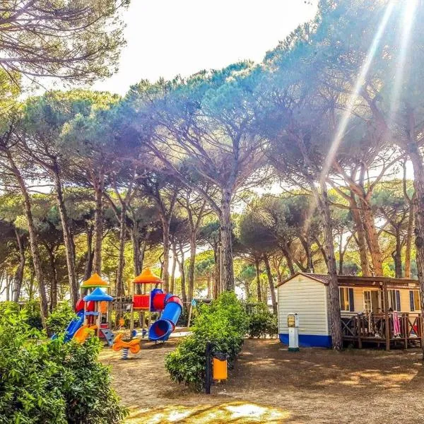 Camping Pineta - Nikoli Tour, hotel in Cesenatico